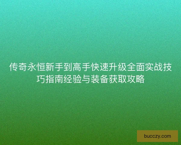 传奇永恒新手到高手快速升级全面实战技巧指南经验与装备获取攻略