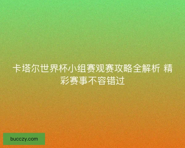 卡塔尔世界杯小组赛观赛攻略全解析 精彩赛事不容错过