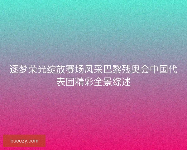 逐梦荣光绽放赛场风采巴黎残奥会中国代表团精彩全景综述